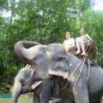 Таиланд, остров Самуи, катание на слоне
