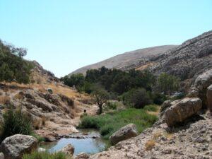 Поток Фара в пустынном ущелье