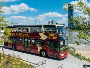 Автобус, Вена