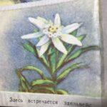 Карта СССР
