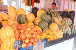 Дыни и арбузы