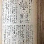 Самая необычная книга на японском языке