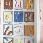 Самая необычная книга на японском языке