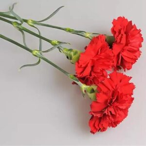 Вадим Грачев