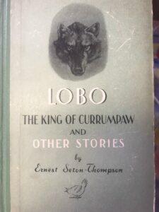 Книга Сетона-Томпсона